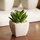 The Elite Essentials Welcome Kit