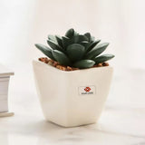 Eco-Friendly Conscious Welcome Corporate Kit